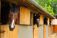 free New Cowper stable construction quotes